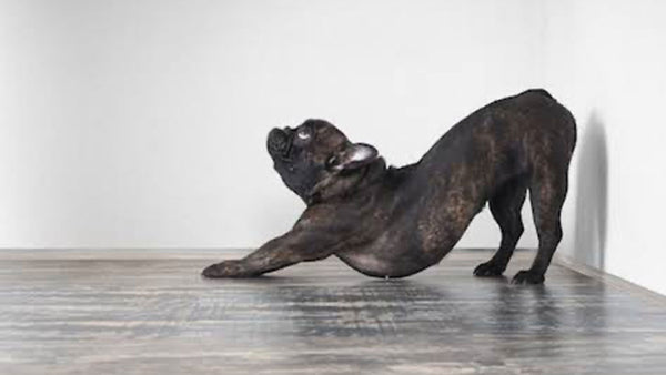 That ‘big stretch’ probably doesn’t mean what you think