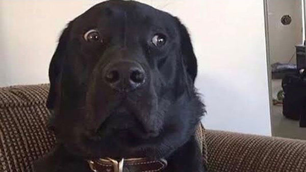 What the ‘side-eye’ really means