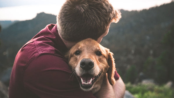 Why I don’t buy this research about faces