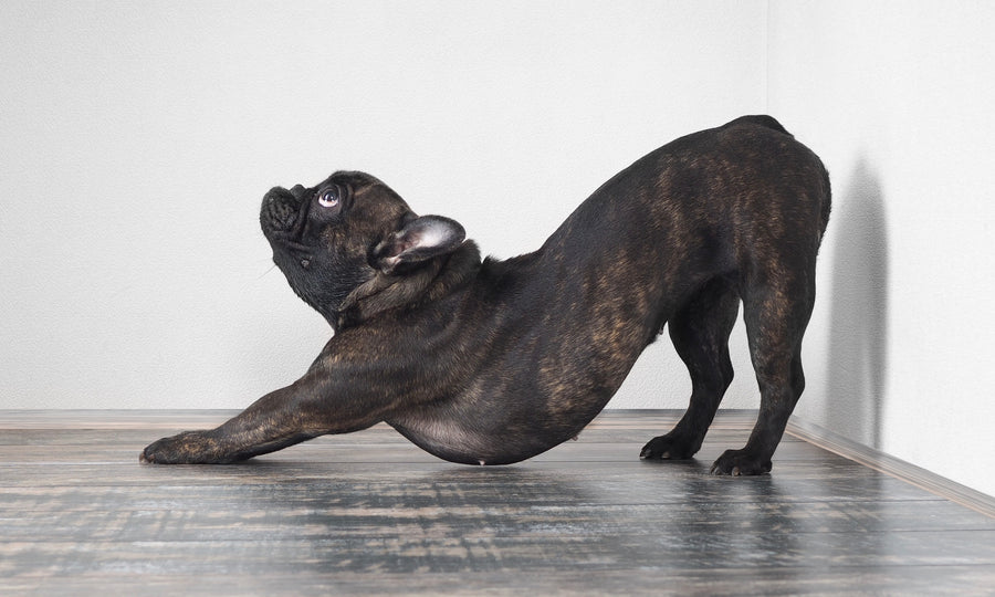 What that 'big stretch' really means