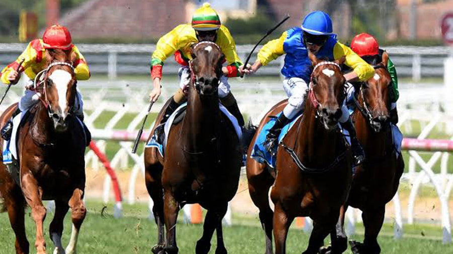 How racehorses really feel about whips