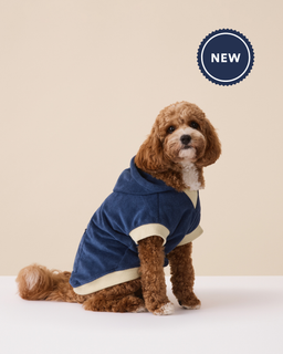 The Towel Hoodie - Medium