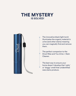 The Wee Detector Torch