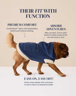 The Towel Hoodie - Small