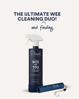 The Wee Detector Torch