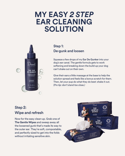 The Ultimate Ears Pack