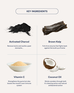 The Doggy Dental Pack