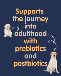 Gut + Immune Puppy and Maturity Treats