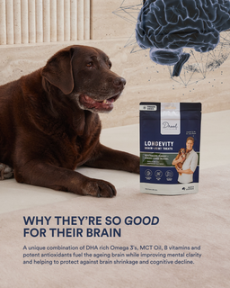 The Forever Young Pack