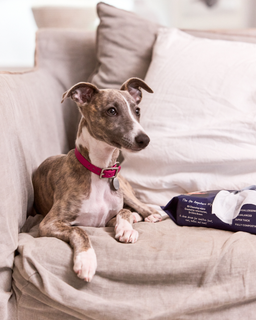 The Breath + Body Refresh Pack