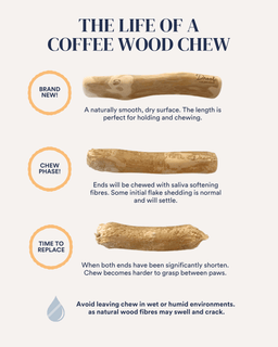 Coffee Wood Chew