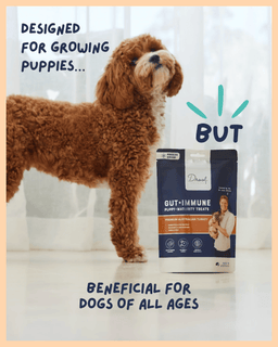 Gut + Immune Puppy and Maturity Treats