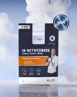 In-Betweeners Furball + Gland Freeze Dried Cat Treats