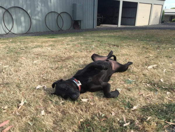 Soothing that grass allergy