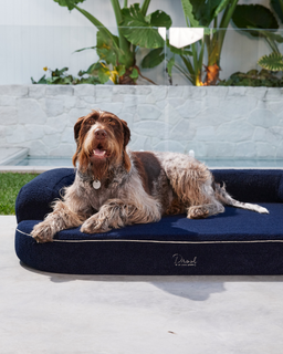 The SpineAlign™ Dream Bed - Grandé (Navy)