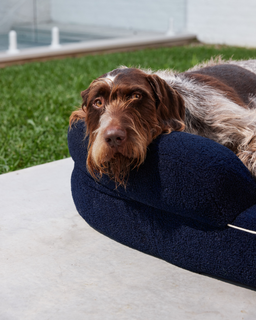 The SpineAlign™ Dream Bed - Grandé (Navy)