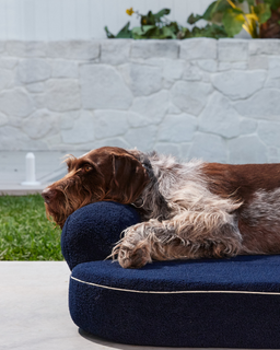 The SpineAlign™ Dream Bed - Grandé (Navy)