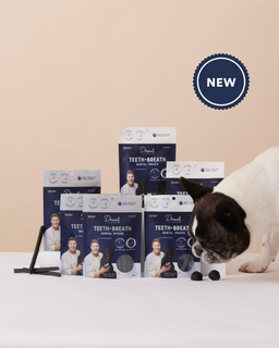 The Doggy Dental Pack