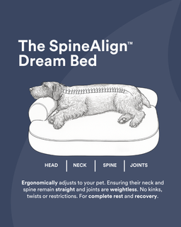The SpineAlign™ Dream Bed - Pocitó (Navy)