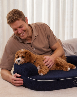 The SpineAlign™ Dream Bed - Pocitó (Navy)