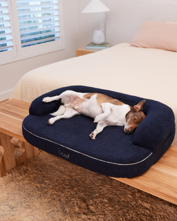 The SpineAlign™ Dream Bed - Pocitó (Navy)