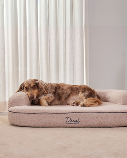 The SpineAlign™ Dream Bed - Pocitó (Oat)