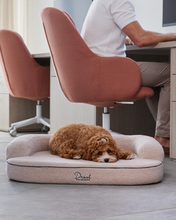 The SpineAlign™ Dream Bed - Pocitó (Oat)