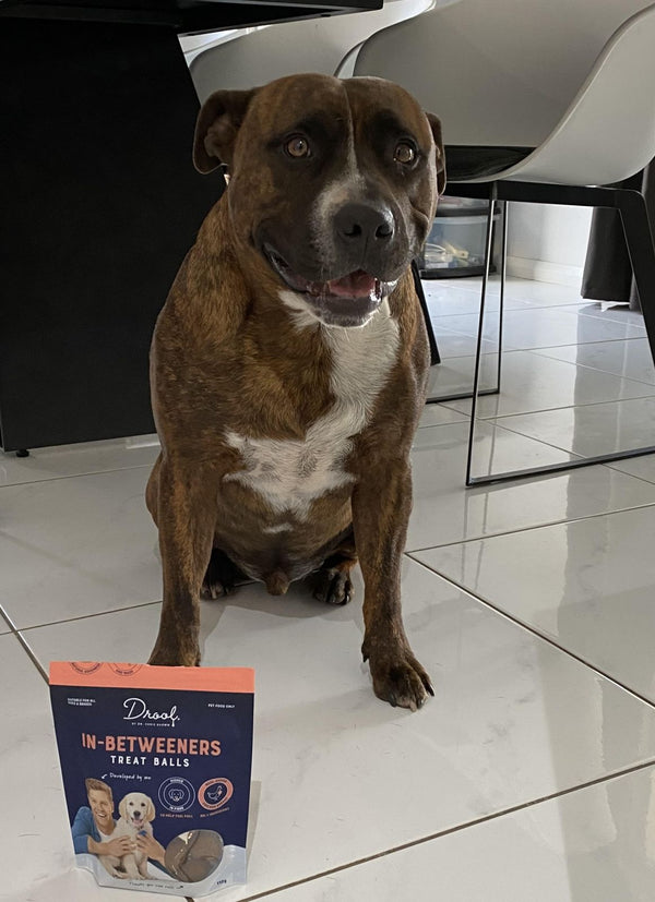 Bruce's Favourite Treat