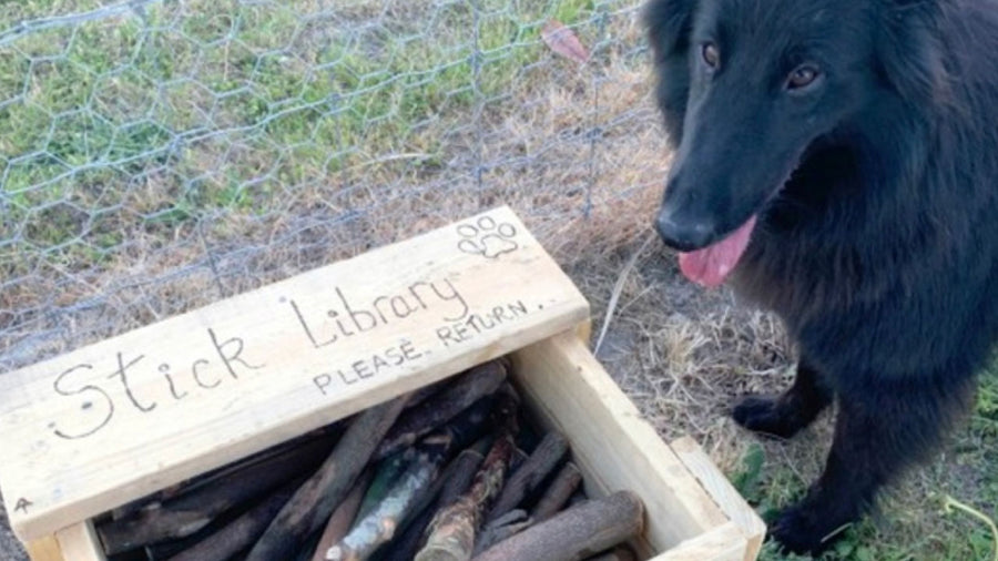 This guy created a stick library. And it’s everything.