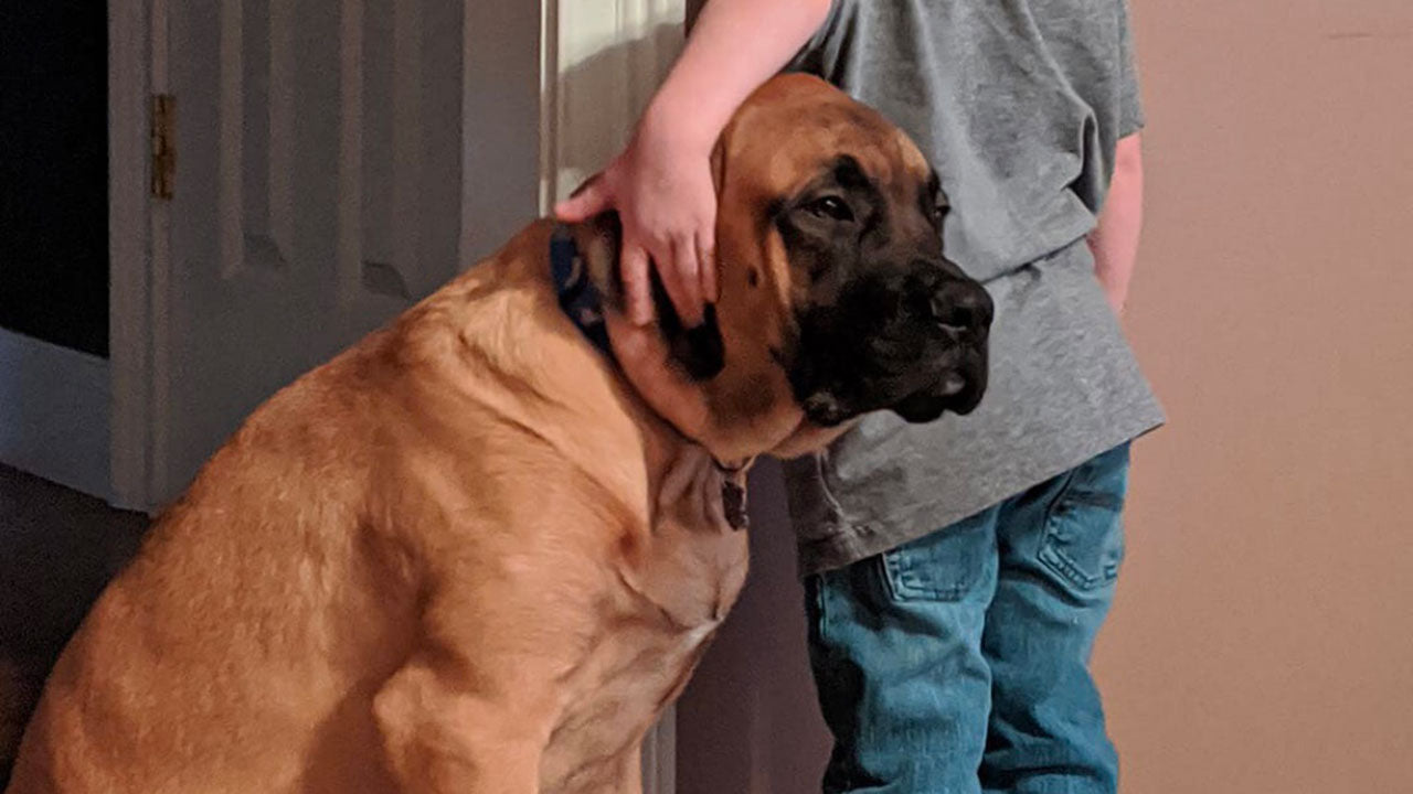 The truth behind this heartwarming viral photo