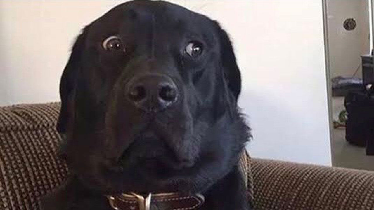 What the ‘side-eye’ really means