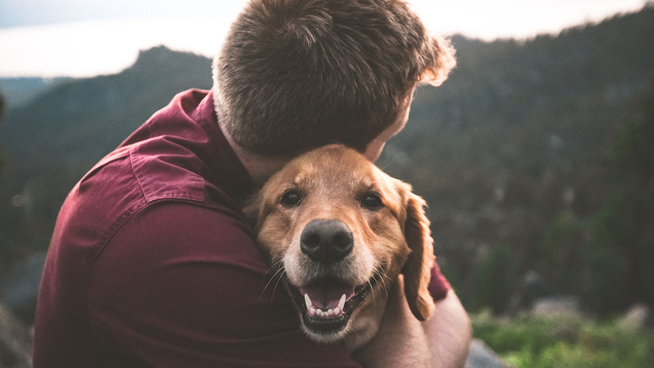Why I don’t buy this research about faces
