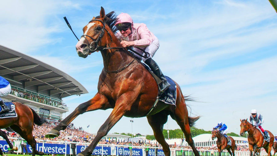 Why is the Melbourne Cup so dangerous?