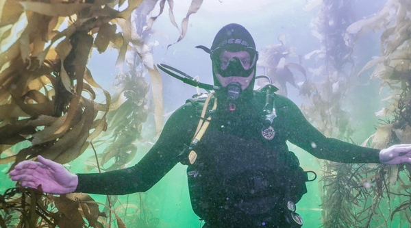 So what is brown kelp?