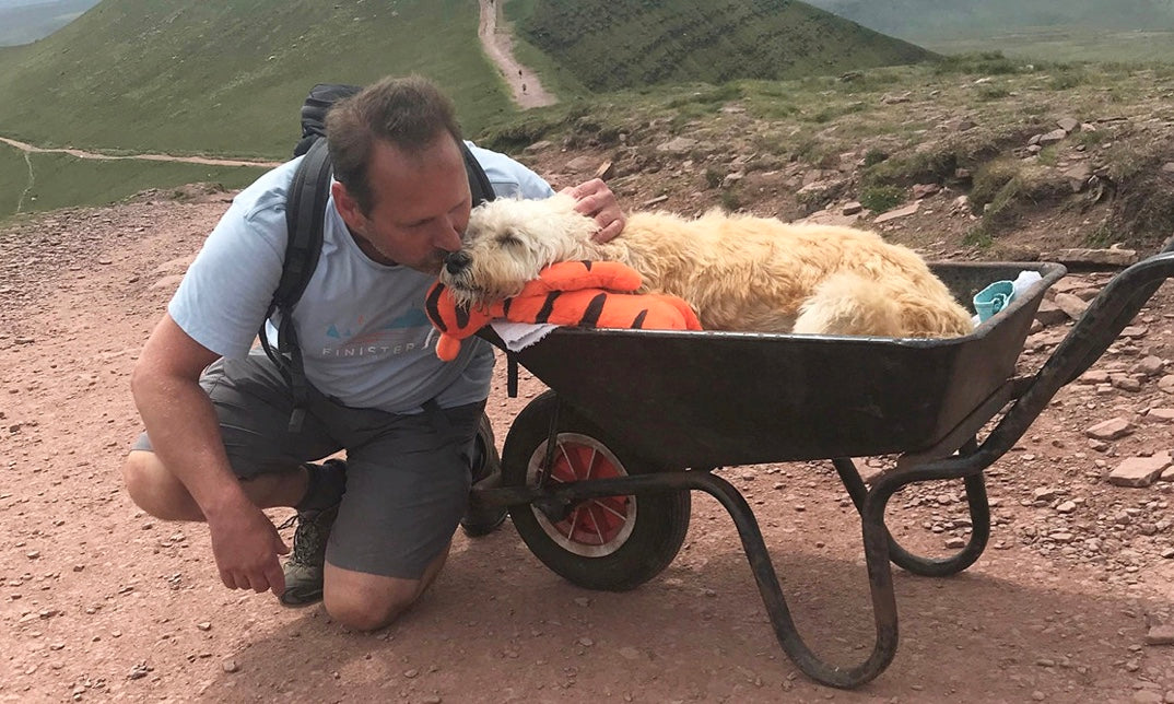 This guy just did the most beautiful thing