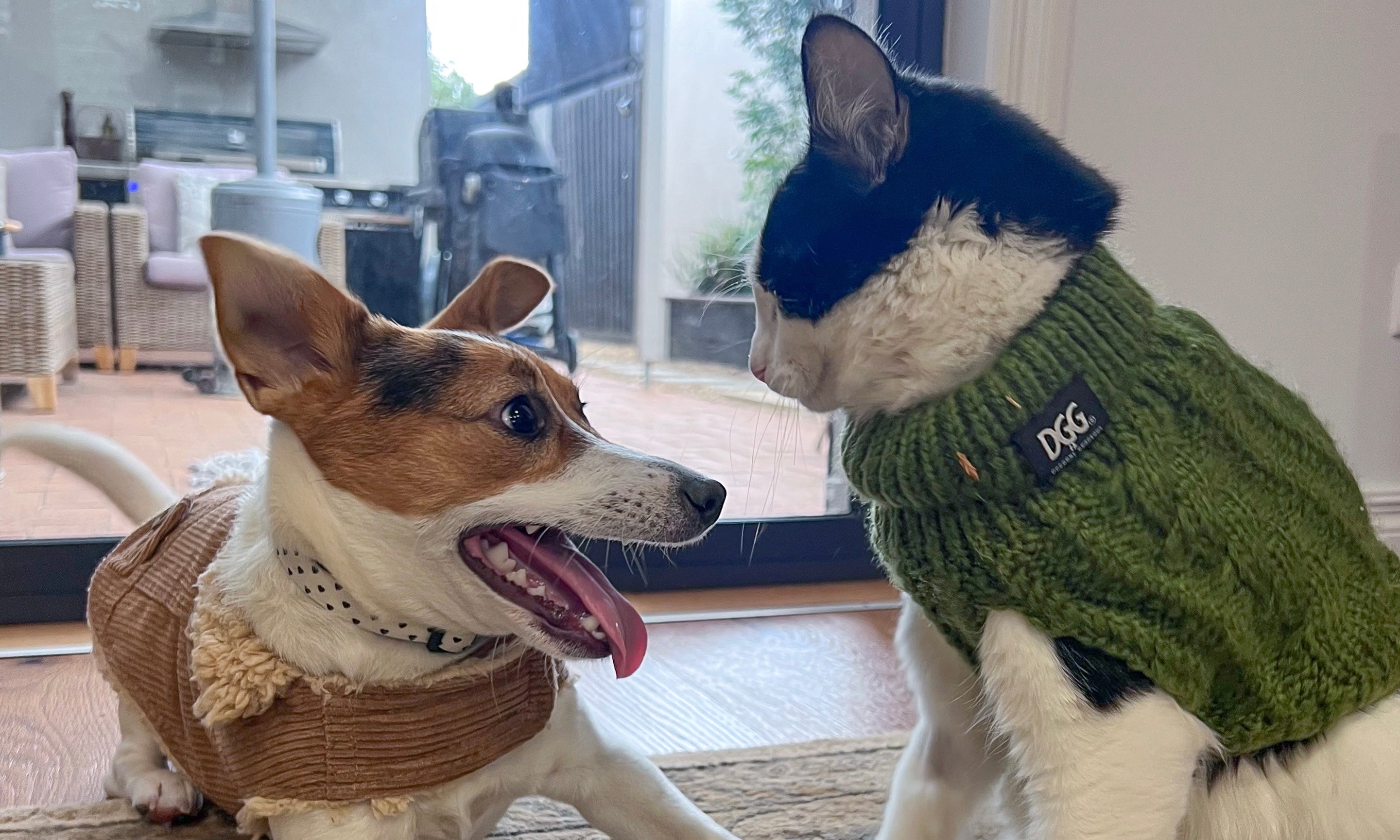 The secret way to tell if they need a coat