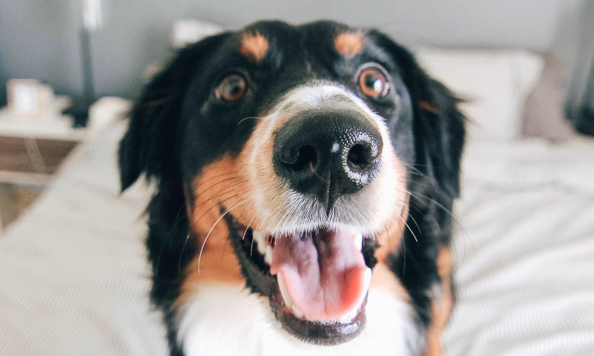 This one body part is about to change colour