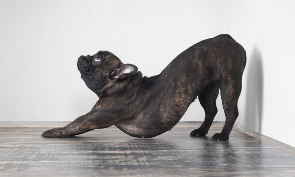 What that 'big stretch' really means