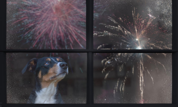 The best way to manage fireworks freak-outs