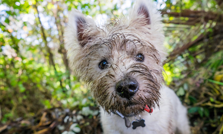 Is the ‘don’t wash too often’ story really true?