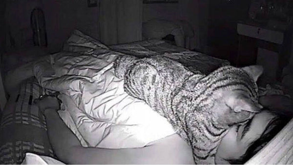 This man’s ‘sleep apnea’ was actually his cat