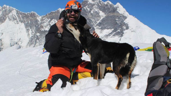 This stray dog climbed one of the world’s highest mountains for love