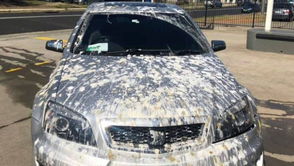 Does bird poo really damage your car paint?