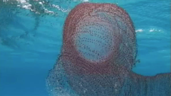 Divers just found a giant natural slinky