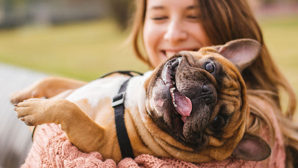 The surprising discovery about dog allergies