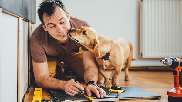 Why pets are the best personal assistants!