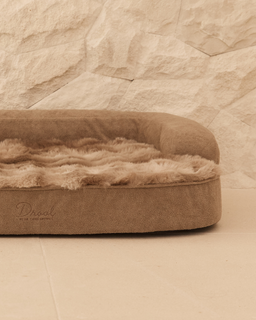 Dream Bed Spare Cover