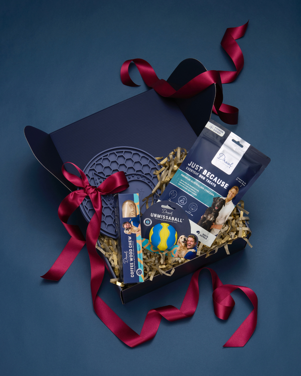 The Christmas Play Gift Pack