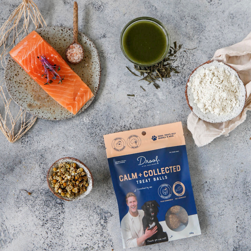 Calm + Collected Salmon