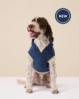 The Towel Hoodie - Large